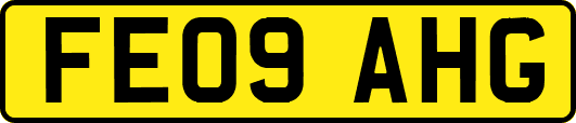 FE09AHG