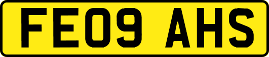 FE09AHS