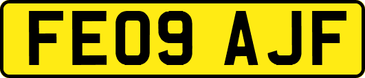 FE09AJF