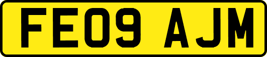 FE09AJM