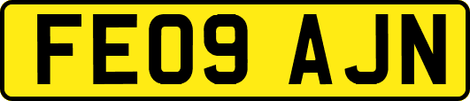 FE09AJN