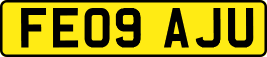 FE09AJU