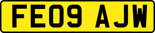 FE09AJW