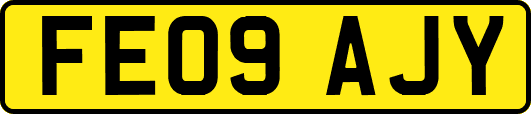 FE09AJY