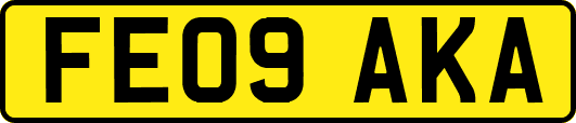 FE09AKA
