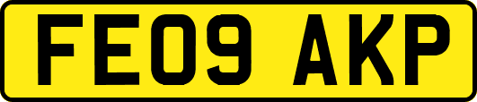 FE09AKP