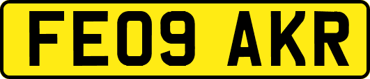 FE09AKR