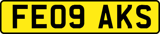 FE09AKS