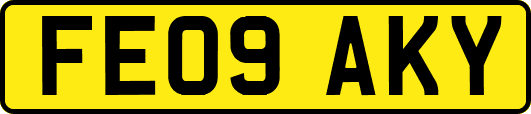 FE09AKY