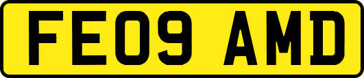FE09AMD