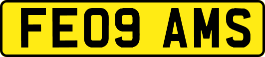 FE09AMS