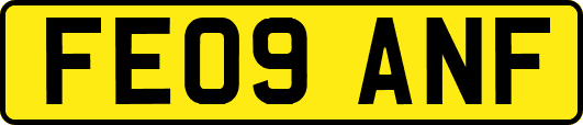 FE09ANF