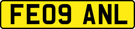 FE09ANL