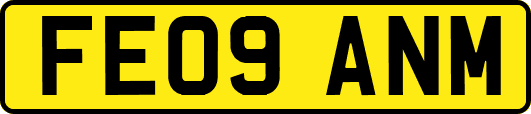 FE09ANM
