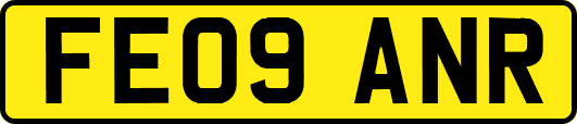 FE09ANR