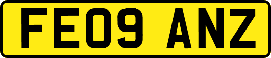 FE09ANZ
