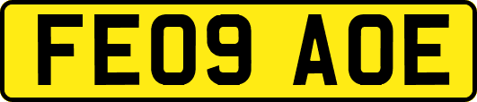 FE09AOE
