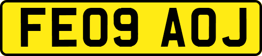 FE09AOJ