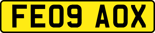 FE09AOX
