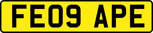 FE09APE
