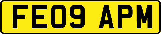 FE09APM