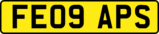 FE09APS