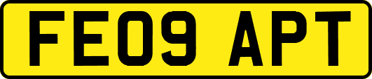 FE09APT