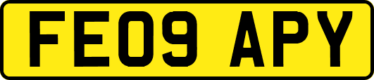 FE09APY