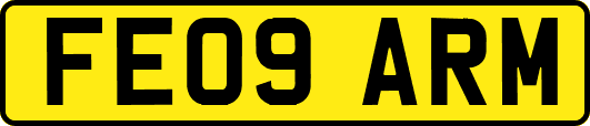 FE09ARM