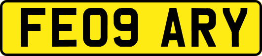 FE09ARY