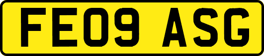FE09ASG