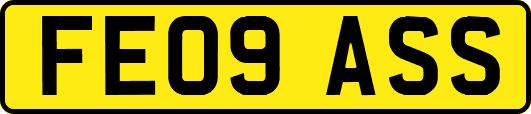 FE09ASS