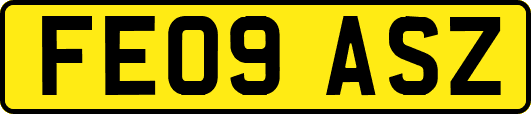 FE09ASZ