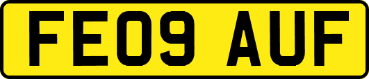 FE09AUF
