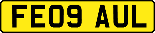 FE09AUL