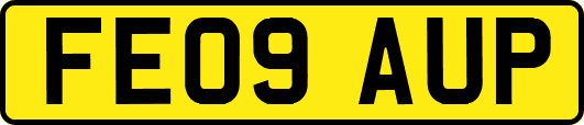 FE09AUP