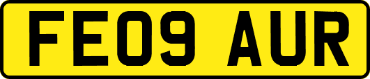 FE09AUR