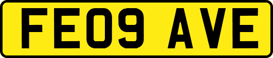 FE09AVE
