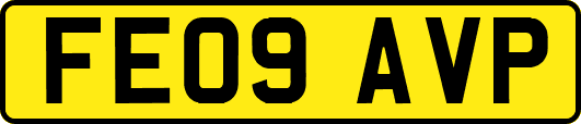 FE09AVP