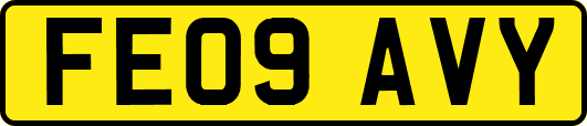 FE09AVY