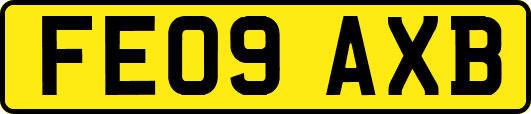 FE09AXB