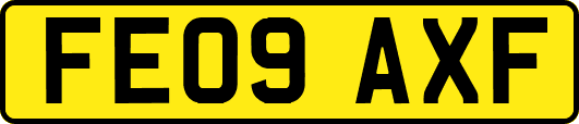 FE09AXF