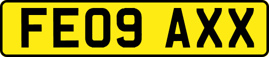 FE09AXX