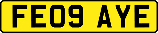 FE09AYE