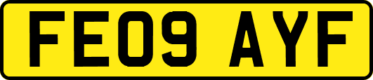 FE09AYF