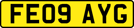 FE09AYG