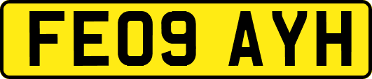 FE09AYH