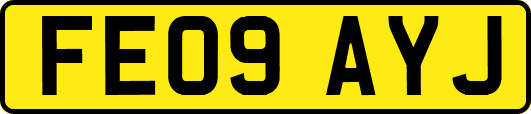 FE09AYJ