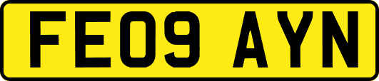 FE09AYN