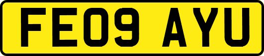 FE09AYU